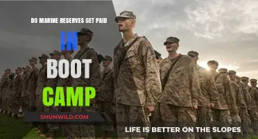 Marine Reserves Boot Camp Pay: What to Expect During Training