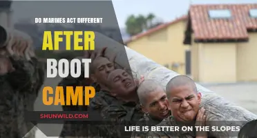 Post-Boot Camp Marines: Changed Behavior and Mindset Explored