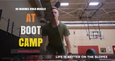 Do Marines Build Muscle at Boot Camp? Unveiling the Physical Transformation