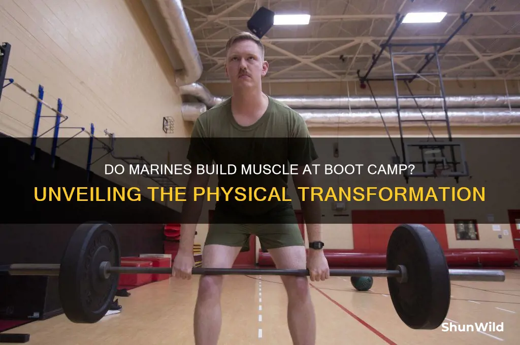do marines build muscle at boot camp