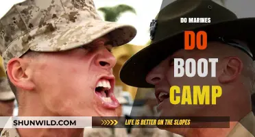 Do Marines Attend Boot Camp? Unveiling the Recruit Training Process