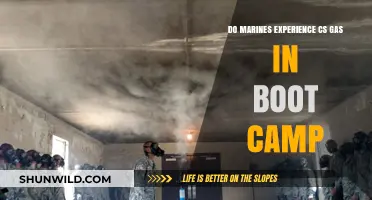 Marines and CS Gas: Boot Camp Exposure Explained