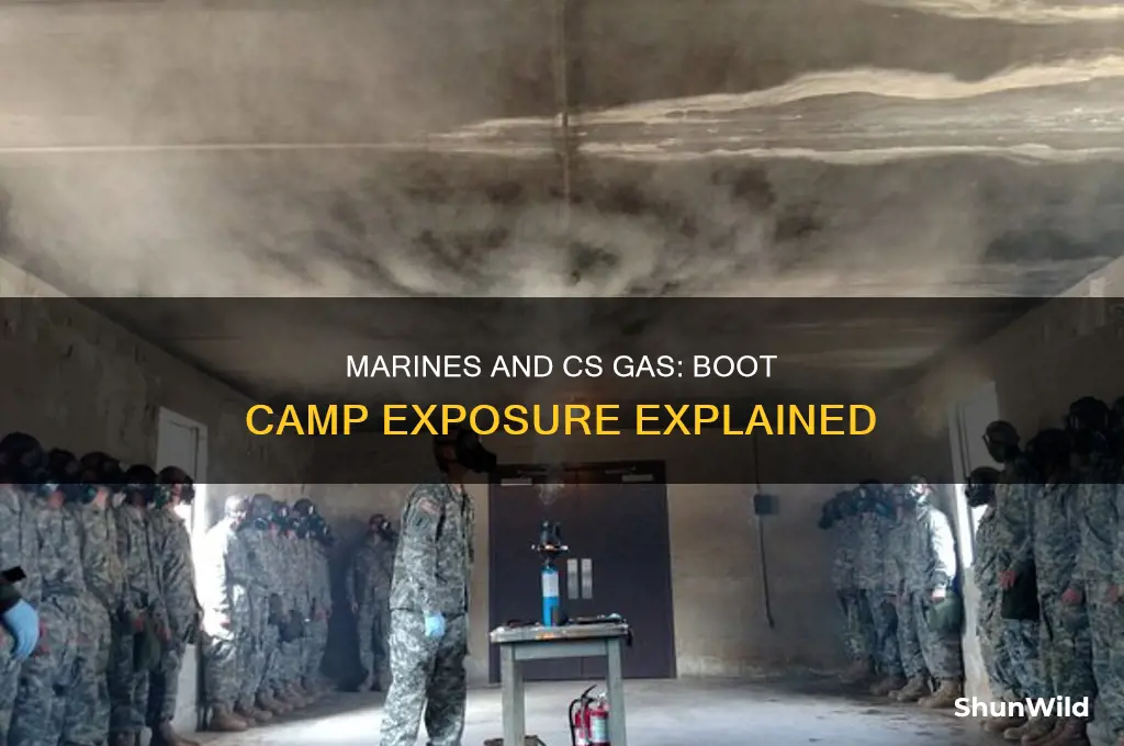 do marines experience cs gas in boot camp
