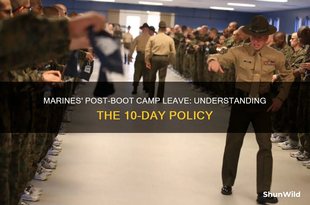 do marines get 10 day leave after boot camp