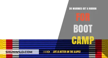 Do Marines Earn a Ribbon for Completing Boot Camp? Explained