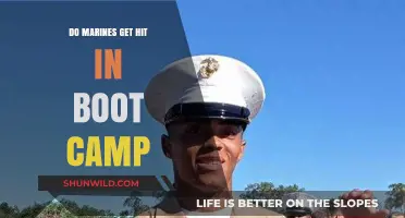 Do Marines Get Hit in Boot Camp? Uncovering the Truth