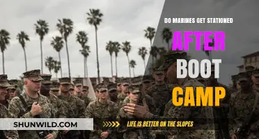 What Happens After Boot Camp: Marine Stationing Explained