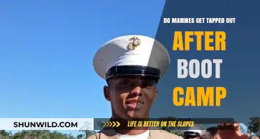 Do Marines Get Tapped Out After Boot Camp? The Truth Revealed