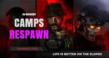 Do Mercenary Camps Respawn? Exploring Game Mechanics and Strategies
