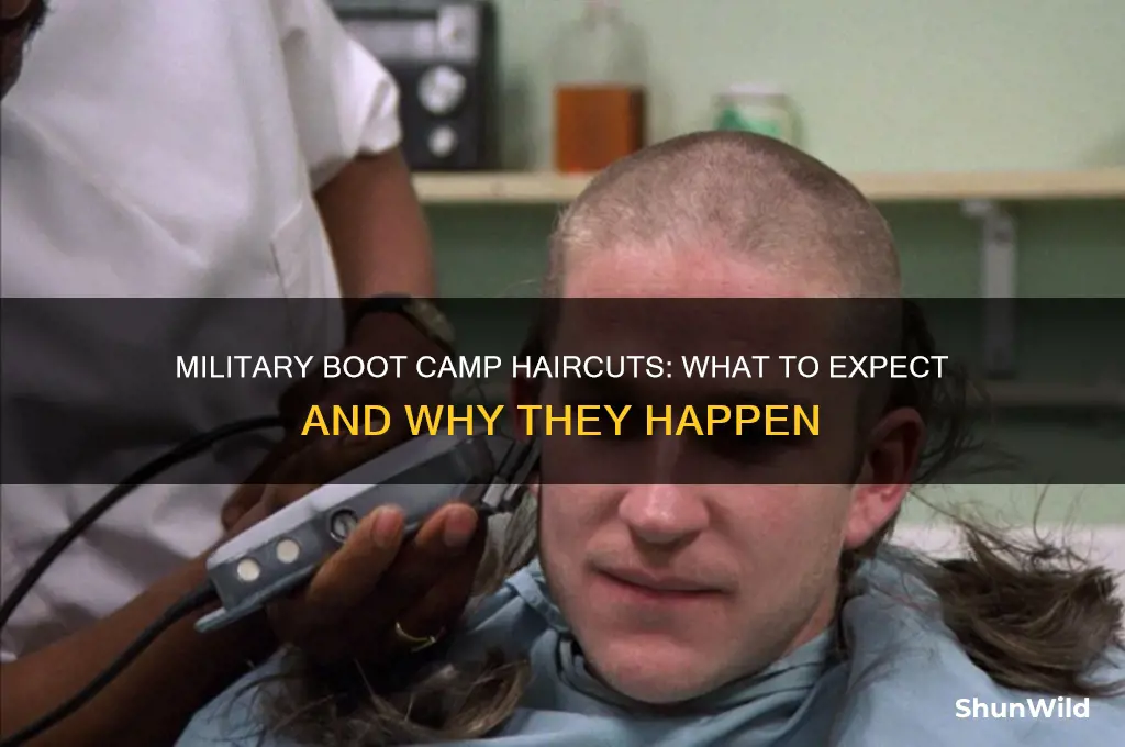 do military boot camp cuts your hair
