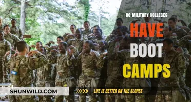 Military Colleges and Boot Camps: What to Expect in Training