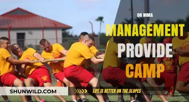 Do MMA Management Teams Offer Training Camps for Fighters?