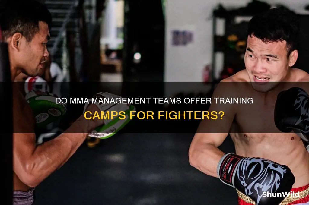 do mma management provide camp