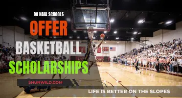 Naia Schools: Basketball Scholarships and Opportunities