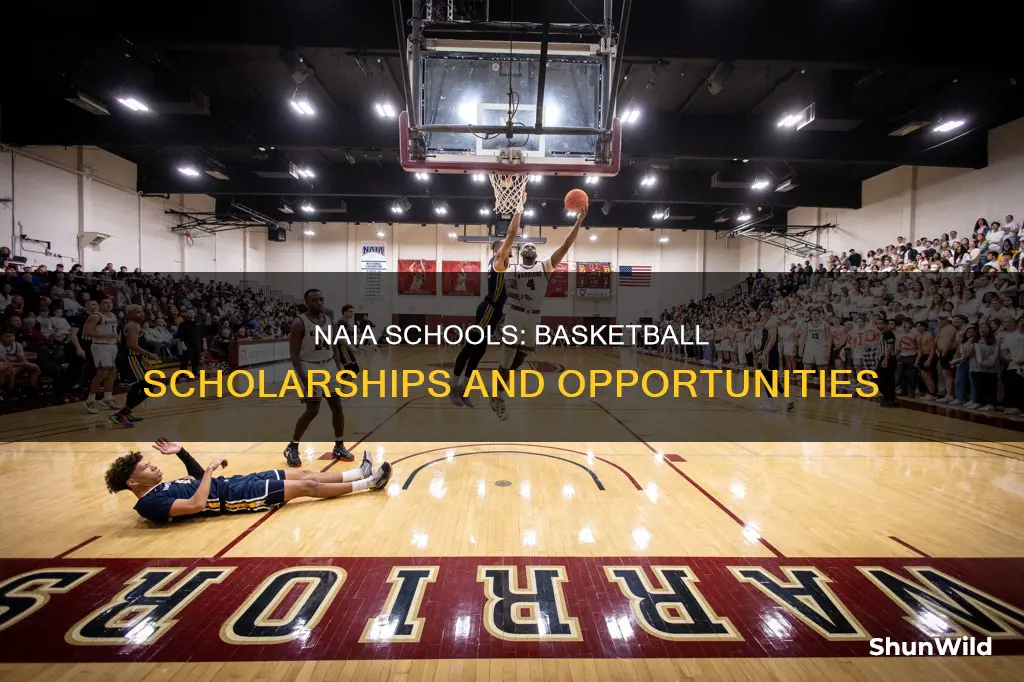 do naia schools offer basketball scholarships