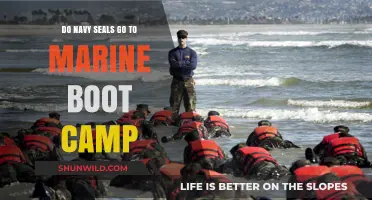 Navy SEALs vs. Marine Boot Camp: Training Paths Explained