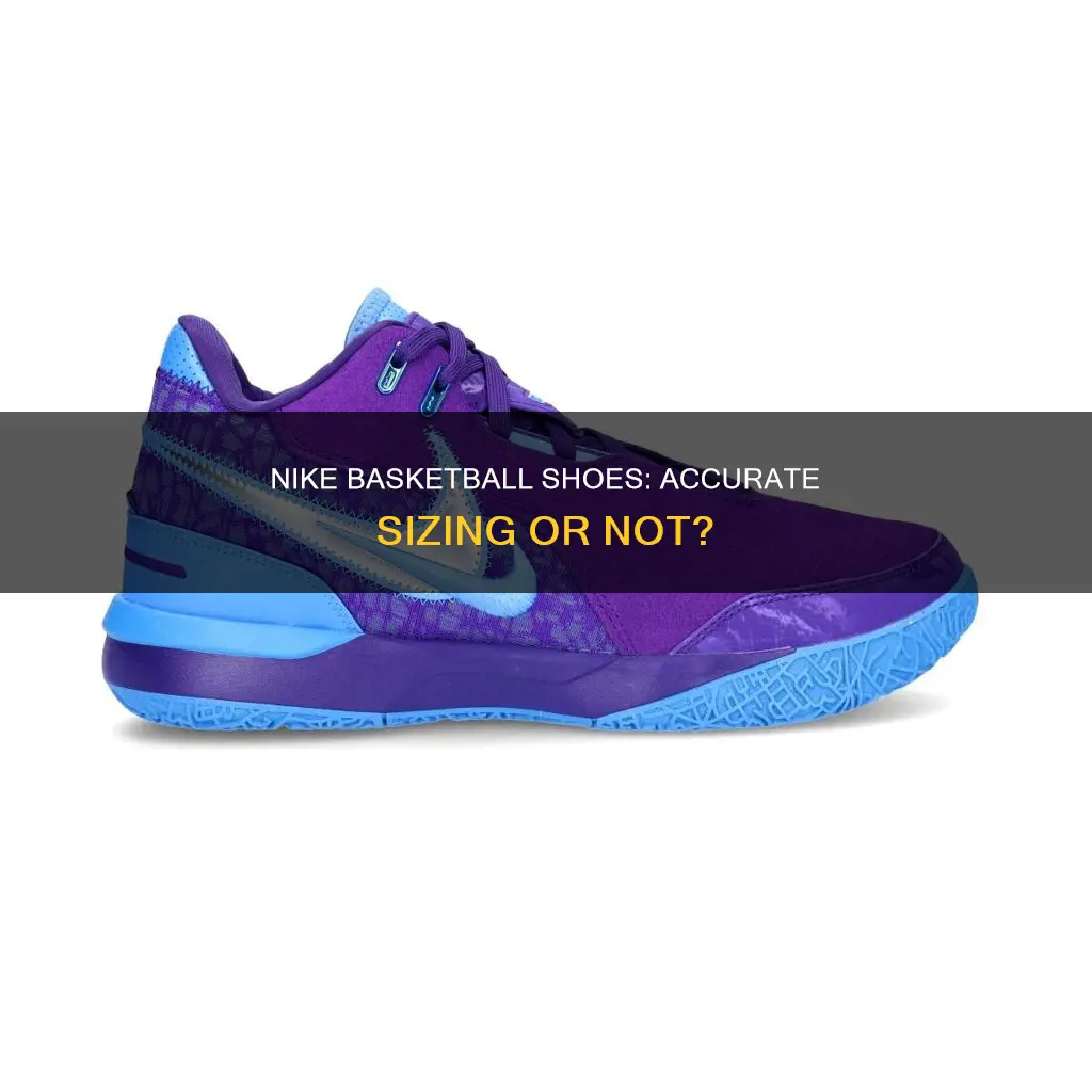 do nike basketball shoes run true to size