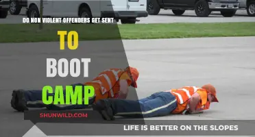 Do Non-Violent Offenders Attend Boot Camp? Exploring Alternatives