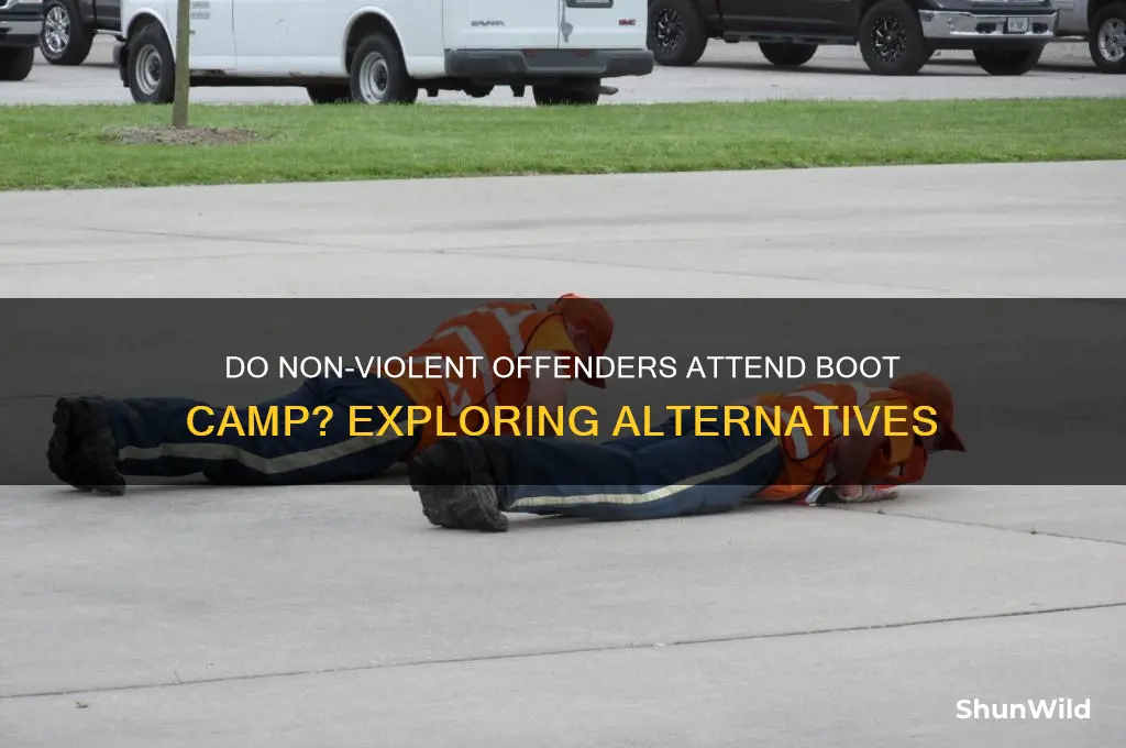 do non violent offenders get sent to boot camp
