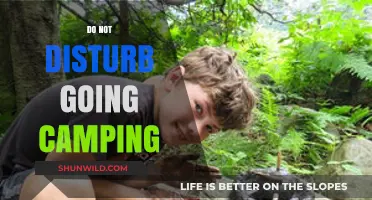 Unplug and Reconnect: Embracing 'Do Not Disturb' While Camping in Nature