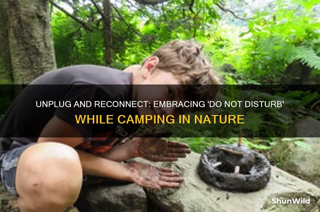do not disturb going camping