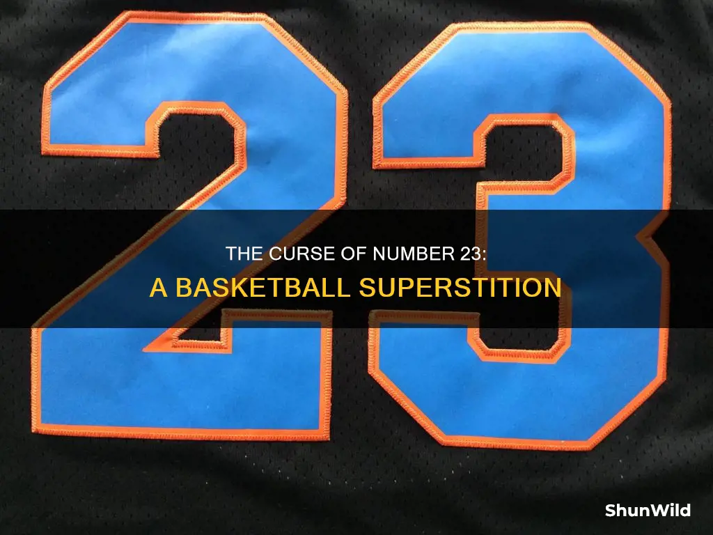 do not wear 23 for basketball