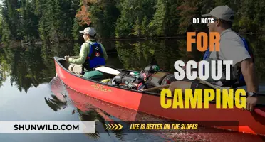 Scout Camping Mistakes: Essential Do Nots for a Safe Adventure
