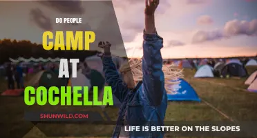 Do People Camp at Coachella? Exploring Festival Accommodations