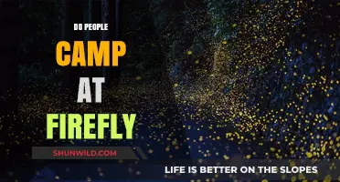 Do People Camp at Firefly? Exploring Festival Accommodations and Tips