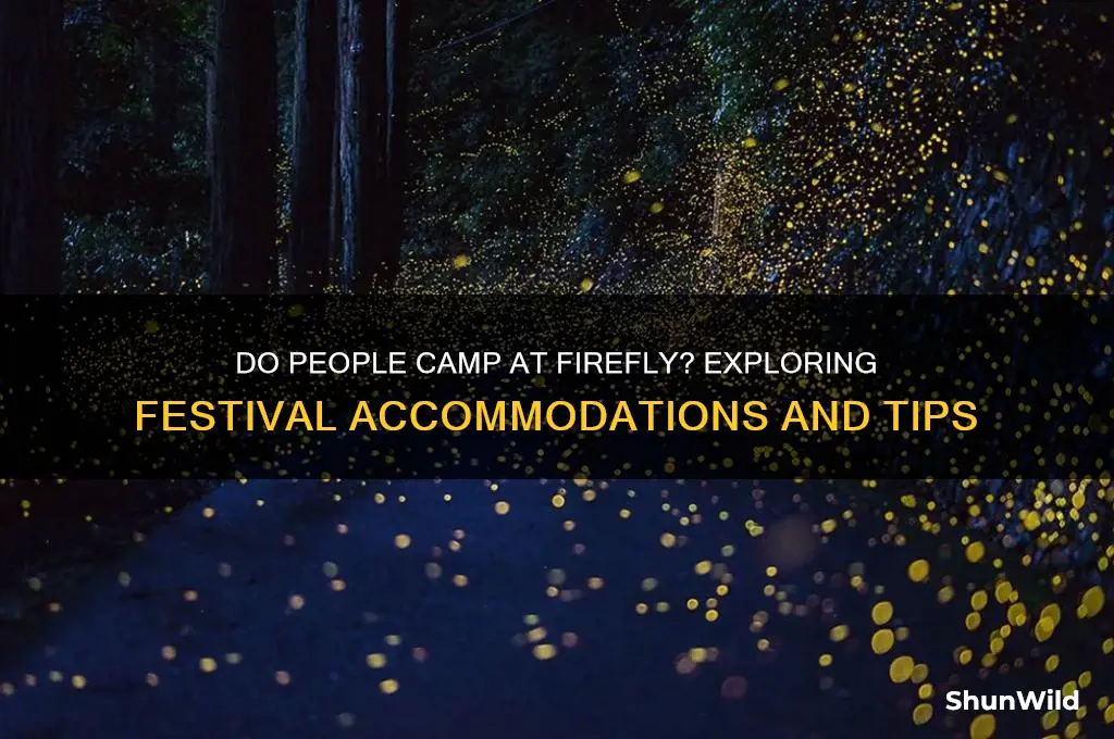 do people camp at firefly
