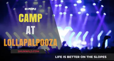 Camping at Lollapalooza: Is It an Option for Festival-Goers?