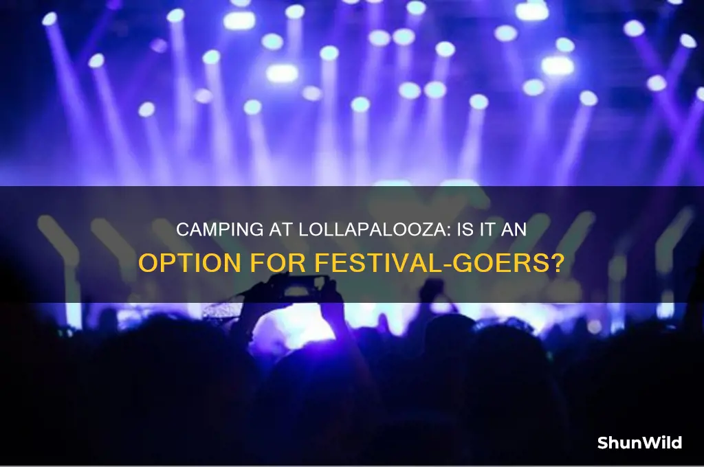 do people camp at lollapalpooza