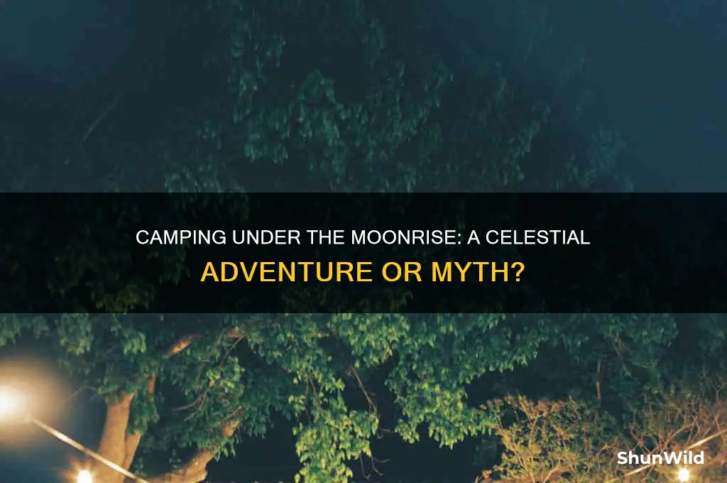 do people camp at moonrise