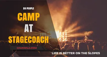 Do People Camp at Stagecoach? Exploring Festival Accommodations