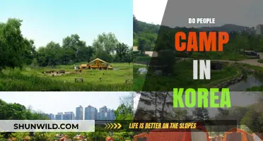 Exploring Korea's Camping Culture: Trends, Locations, and Popularity