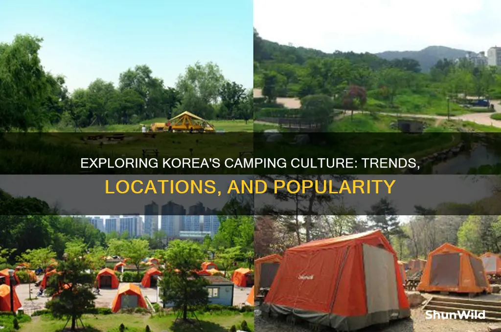 do people camp in korea