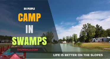 Swamp Camping: Exploring the Unique Challenges and Allure of Wetland Adventures