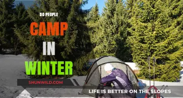 Winter Camping: Chilling Adventures or Cozy Outdoor Escapes?