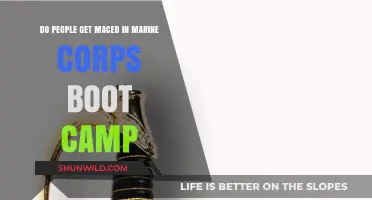 Marine Corps Boot Camp: The Truth About Mace Exposure