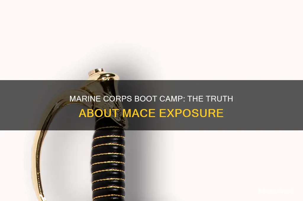 do people get maced in marine corps boot camp