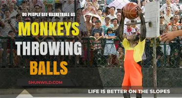 Basketball: Monkey Business or Serious Sport?