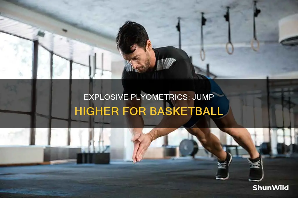 do plyometrics increase vertical for basketball
