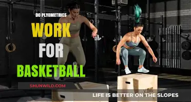 Explosive Plyometrics: Basketball Performance Booster?