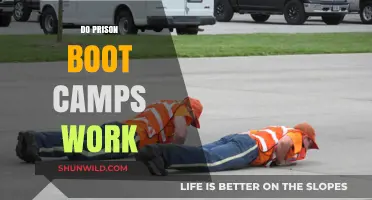 Do Prison Boot Camps Work? Evaluating Effectiveness and Rehabilitation