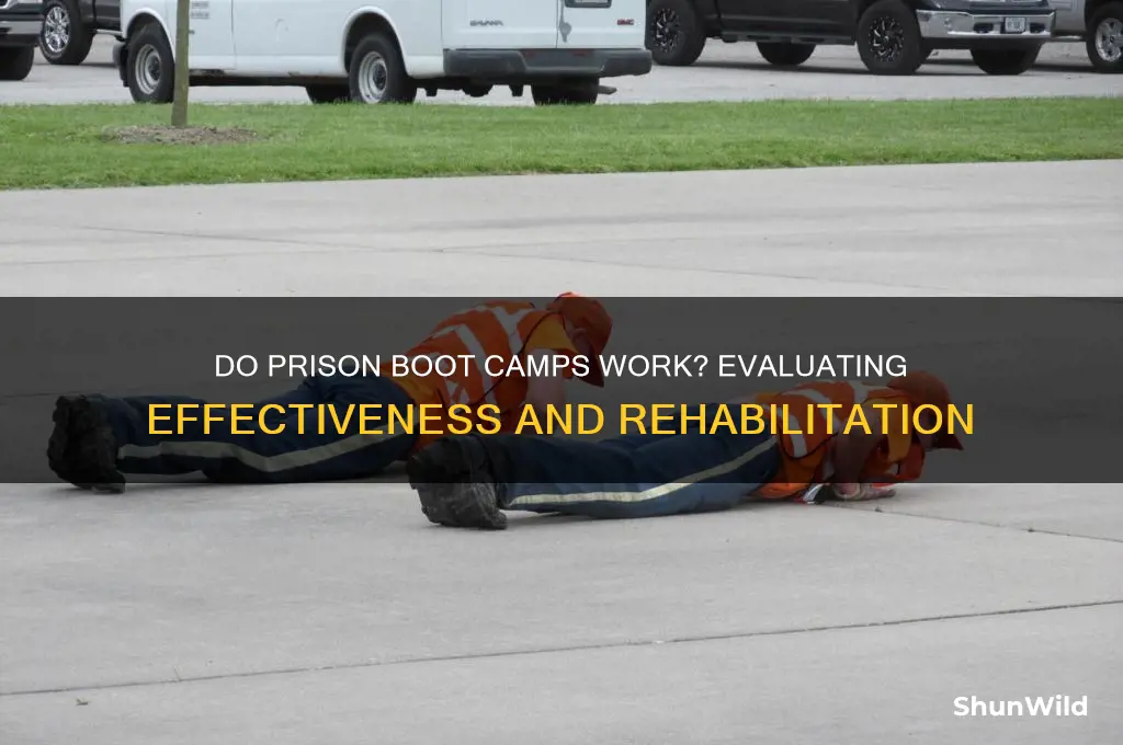 do prison boot camps work