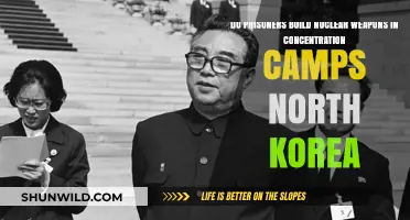 North Korea's Concentration Camps: Allegations of Prisoners Building Nuclear Weapons