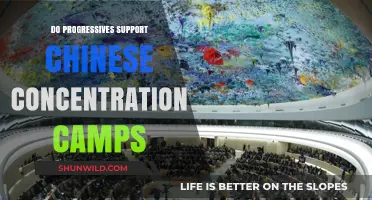 Progressives and China's Uyghur Camps: Unraveling the Stance and Silence
