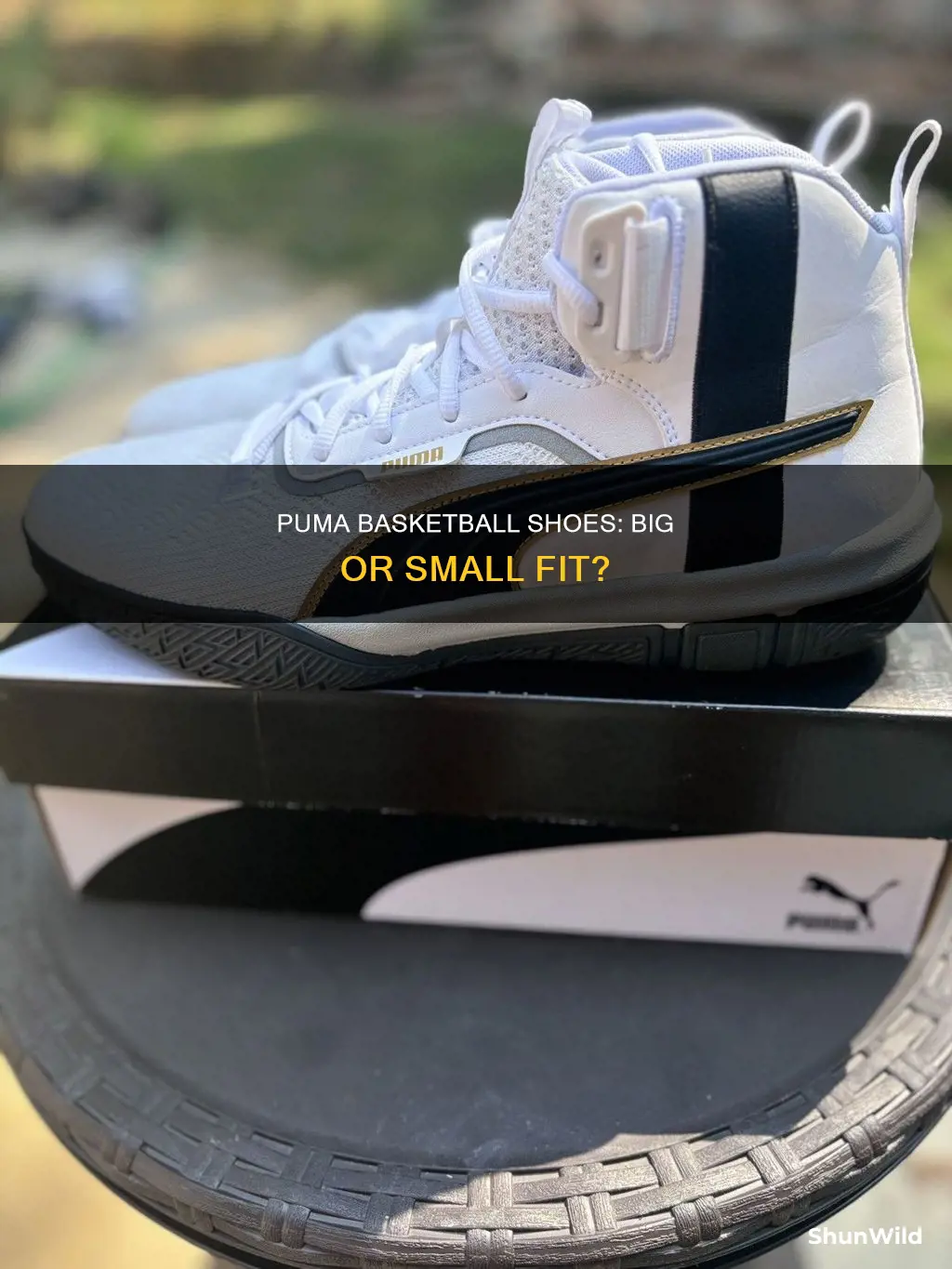 do puma basketball shoes run big or small