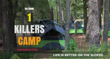 Rank 1 Killers: Camping Strategies and Their Impact on Gameplay