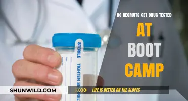 Drug Testing at Boot Camp: What Recruits Need to Know